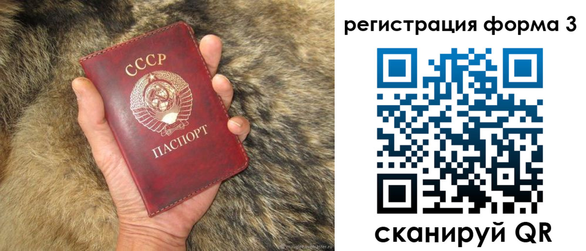 регистрация для школы в Владимире